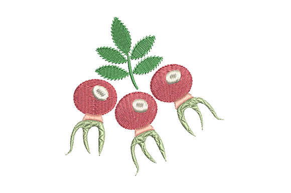 Red Rose Hips with a Green Leaf Embroidery Review