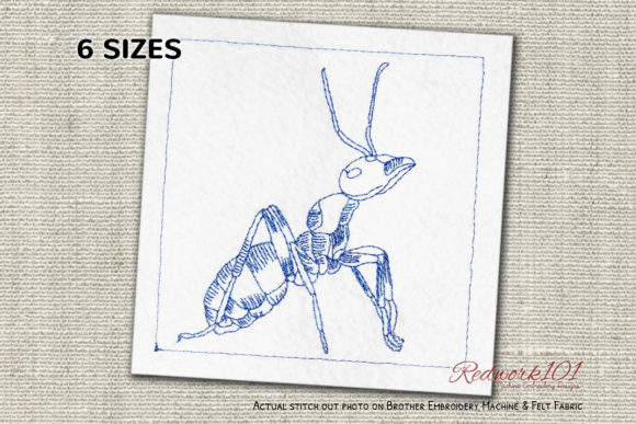 Red Wood Ant Bluework Embroidery Review